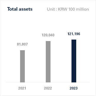 Total assets Graph Image